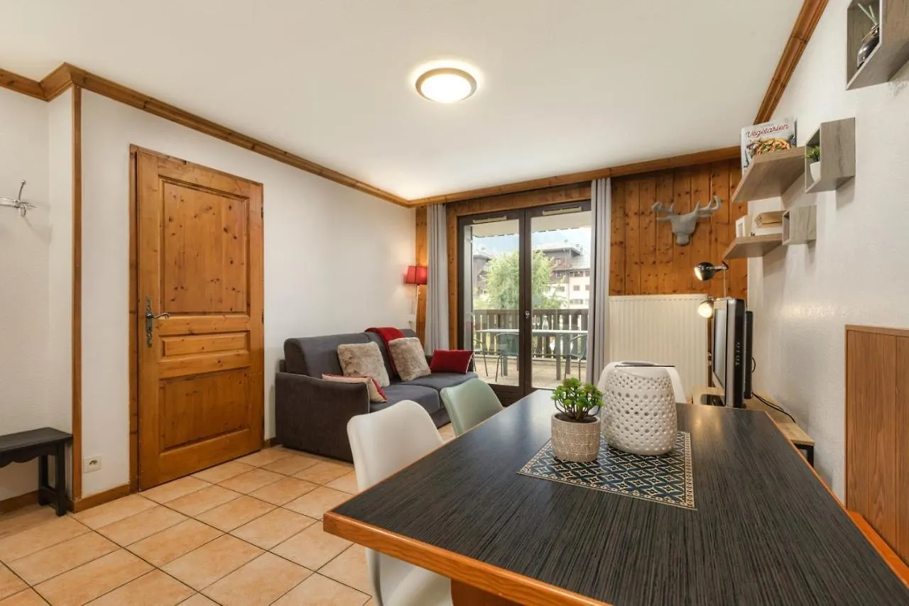 Apart City Center Mt Blanc View + Free Parking Chamonix